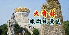 www吊b操b插b在线免费观看中国浙江-绍兴大香林旅游风景区