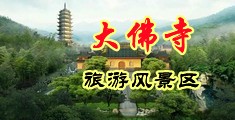 鸡女骚屄在线中国浙江-新昌大佛寺旅游风景区